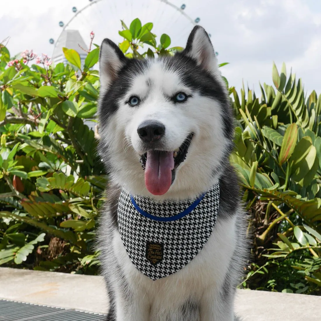 Bandanas - Classic Houndstooth