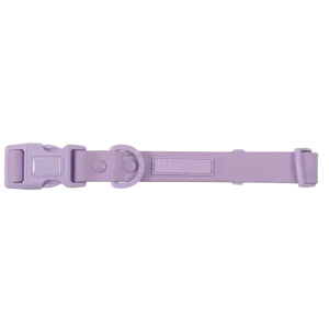 Big & Little Dogs Waterproof Dog Collar - Purple