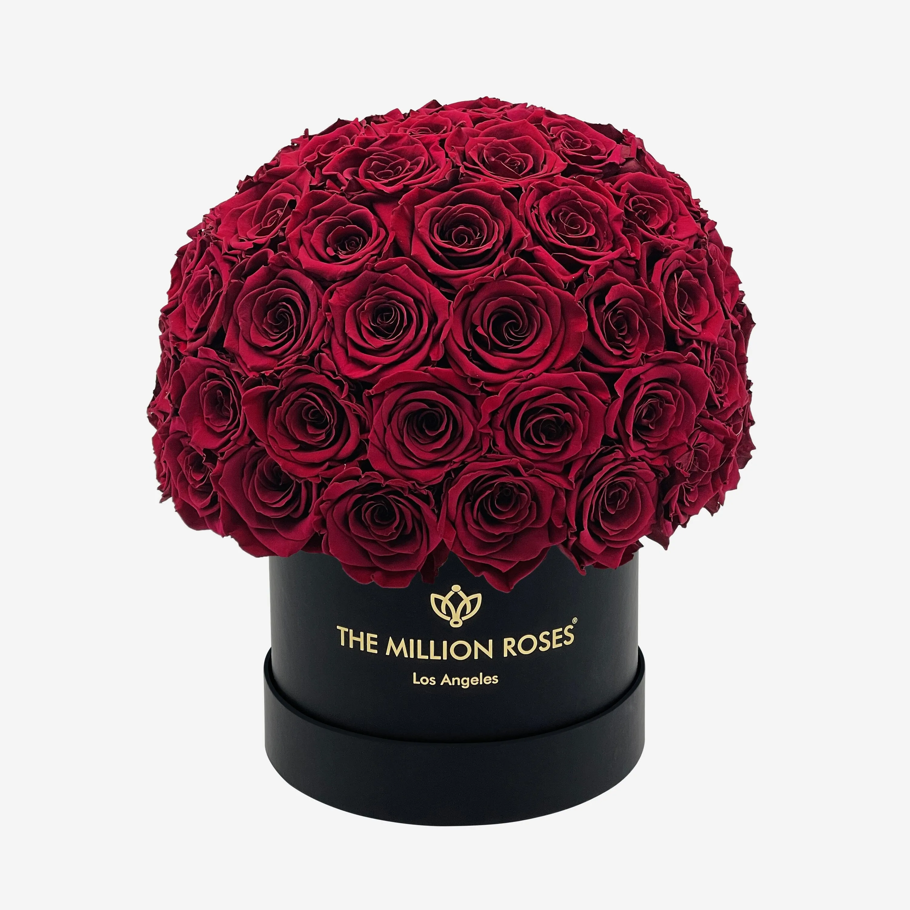 Classic Black Superdome Box | Burgundy Roses