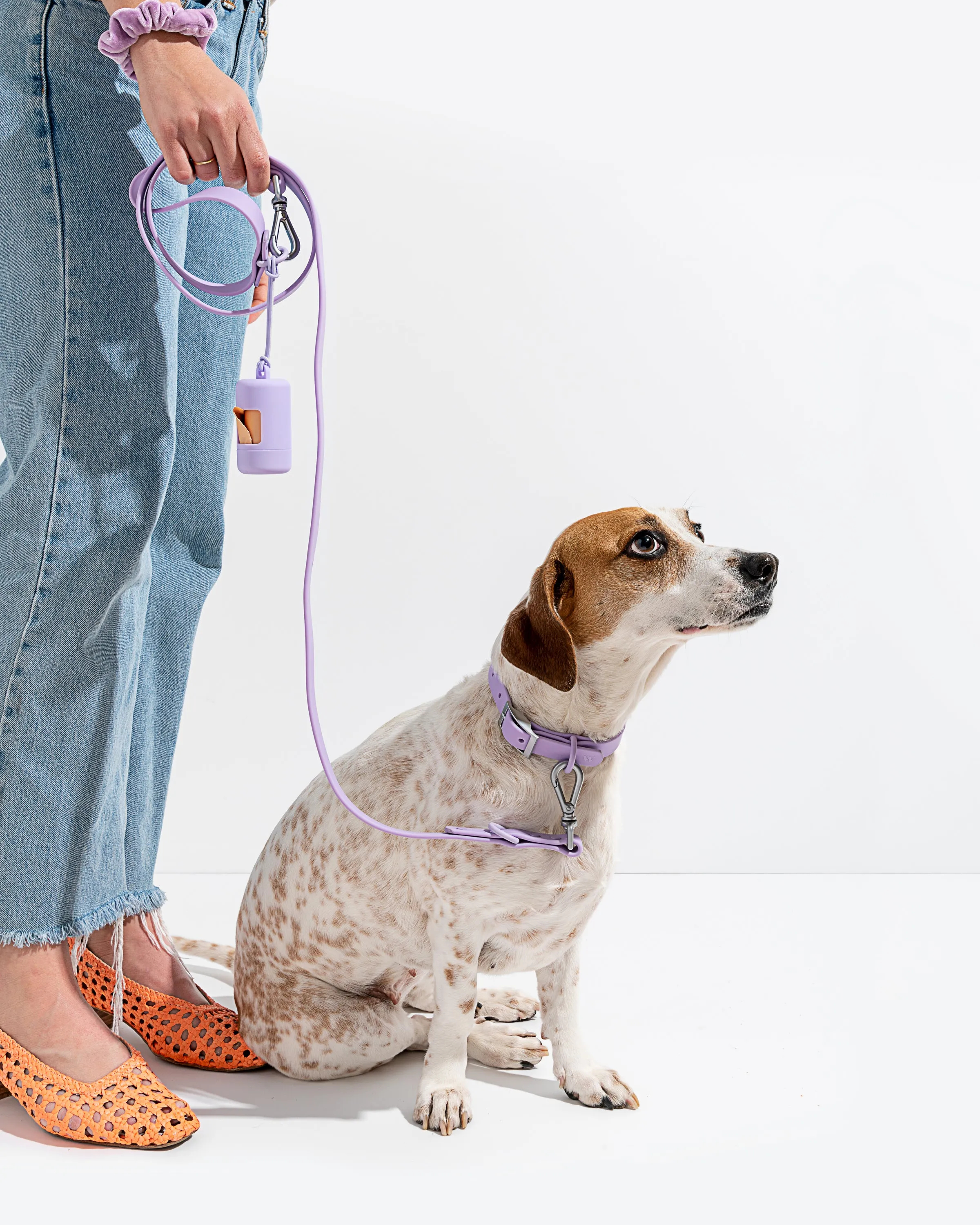 Collar Walk & Treat Kit