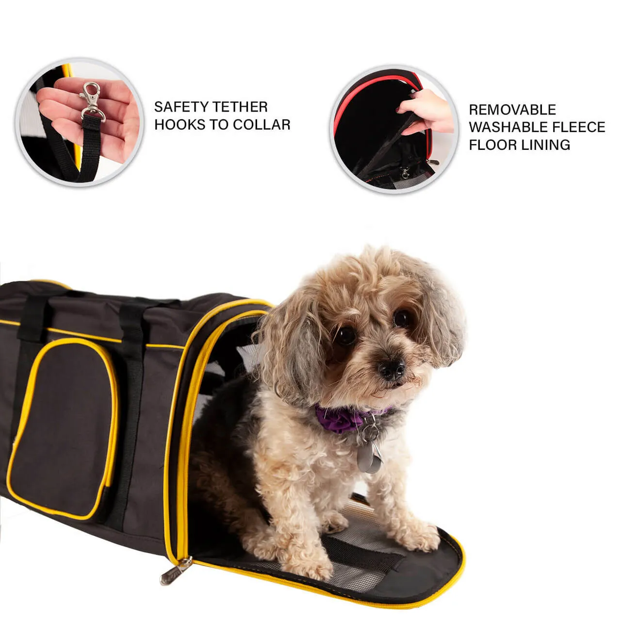 Nevada 16" Premium Pet Carrier