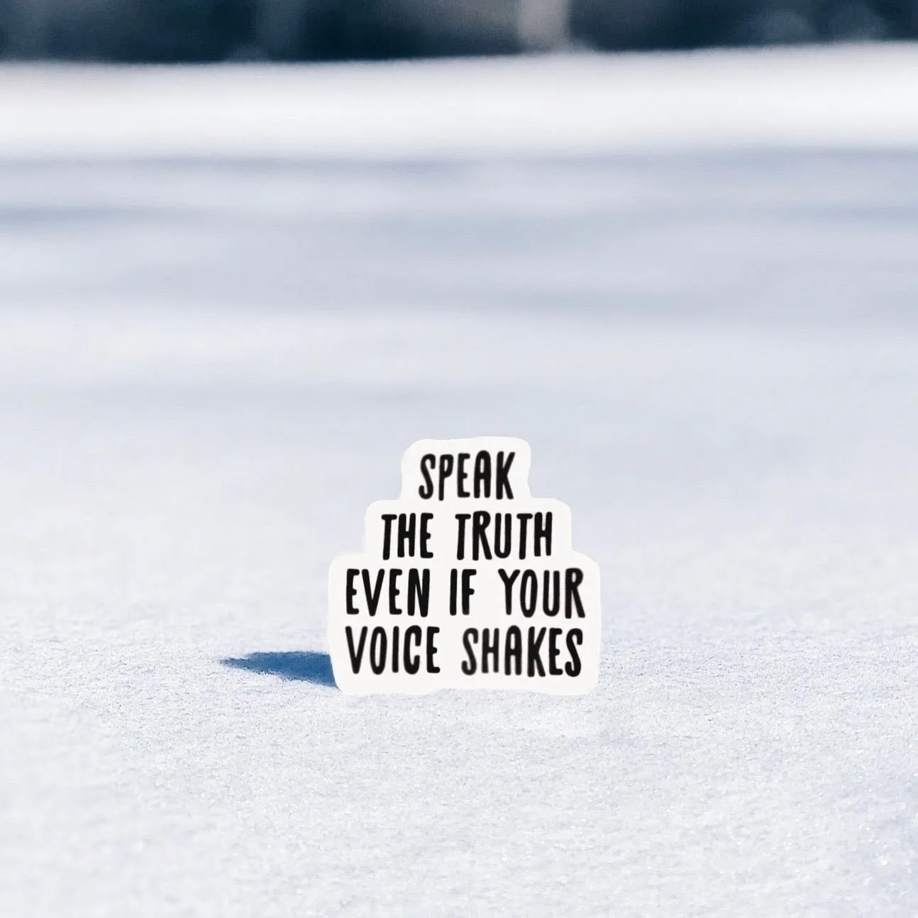 Speak The Truth Sticker